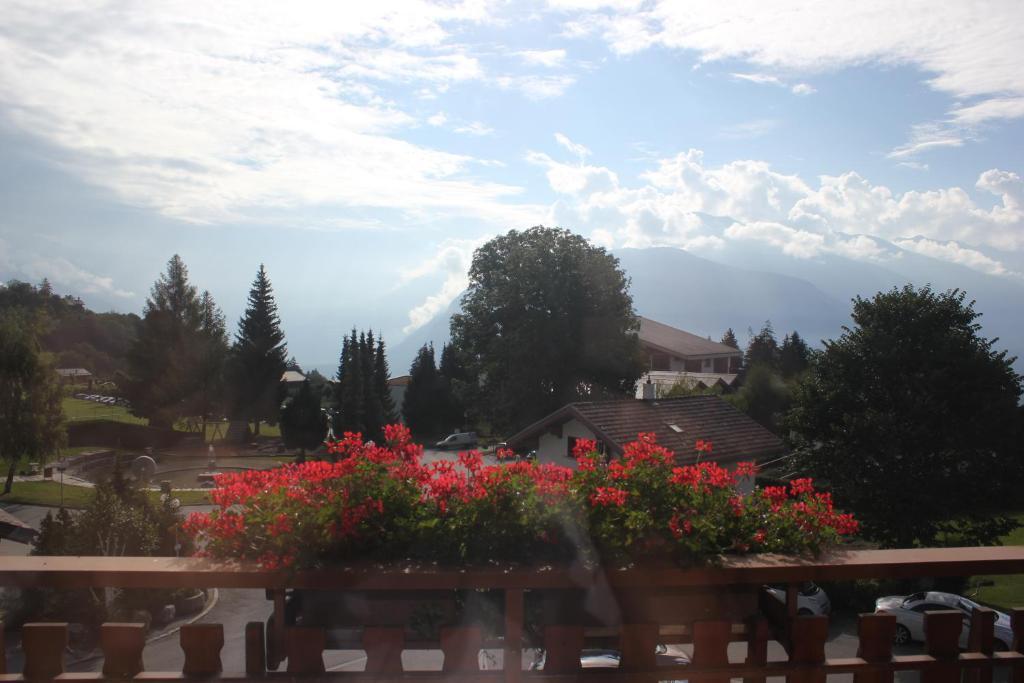 Petit Paradis Crans-Montana Dış mekan fotoğraf